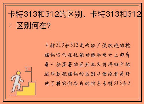 卡特313和312的区别、卡特313和312：区别何在？